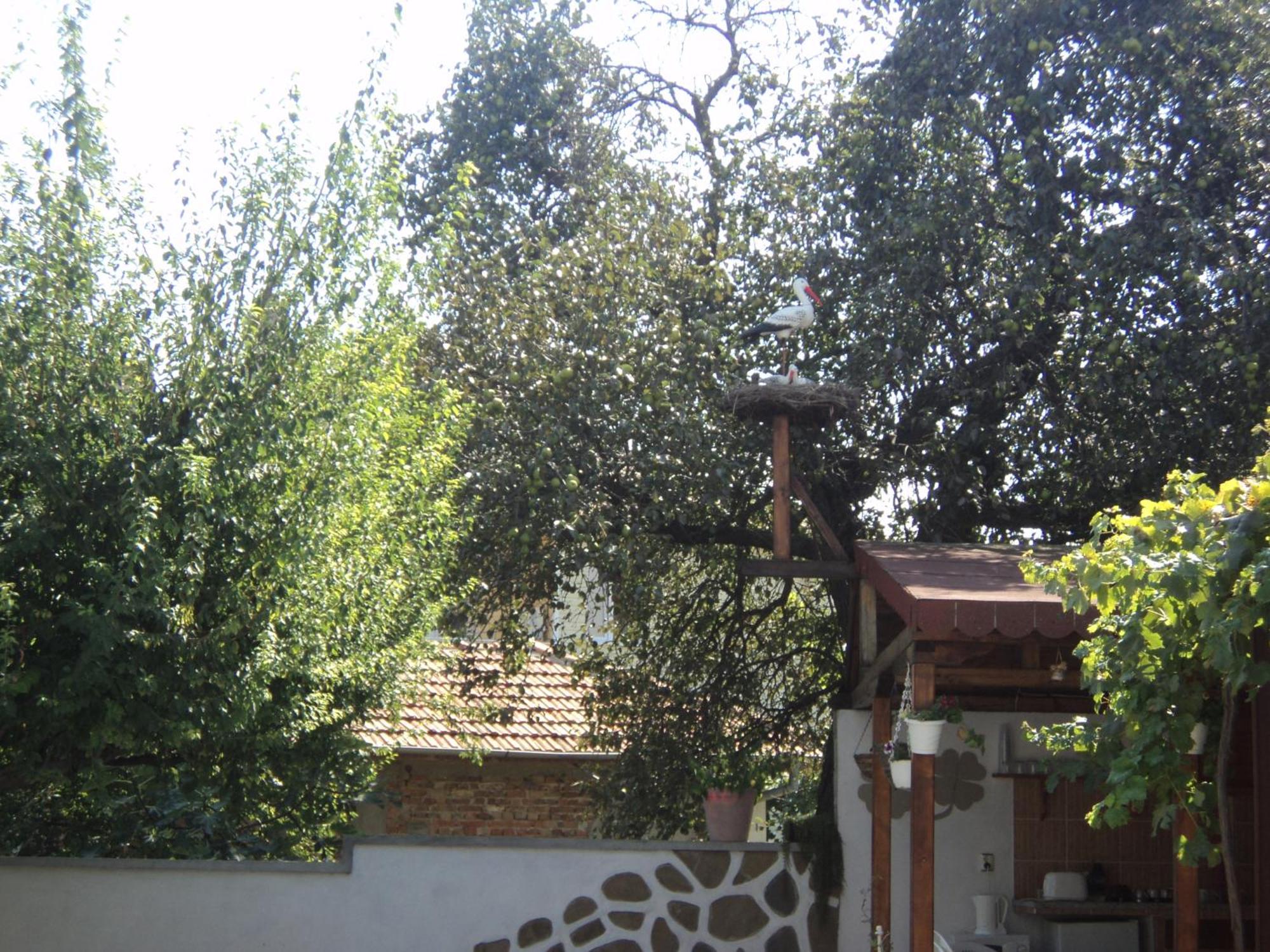 Guest House Drazhev Obzor Buitenkant foto
